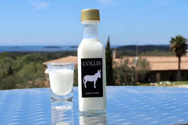مهم ترین ویژگی شیر الاغ چیست؟
