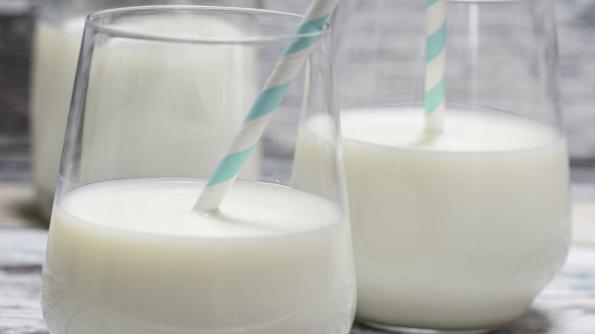 شیر الاغ چه مشخصاتی دارد؟