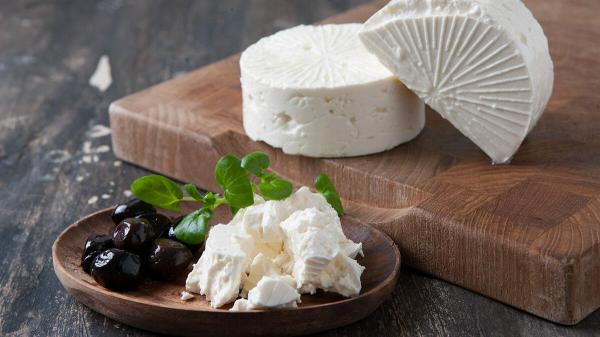 بازار خرید پنیر الاغ صادراتی