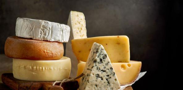 پنیر الاغ چه خواصی دارد؟