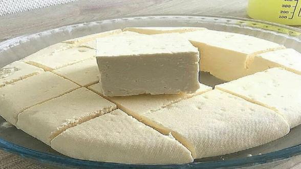صادرات پنیر الاغ کیلویی درجه یک