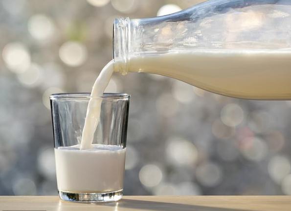 عرضه مستقیم شیر الاغ ارزان