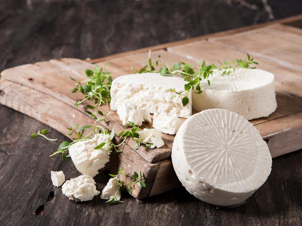 توزیع پنیر الاغ صادراتی