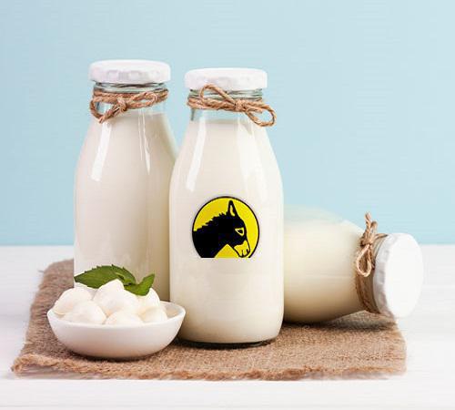 عرضه کننده شیر الاغ خوب