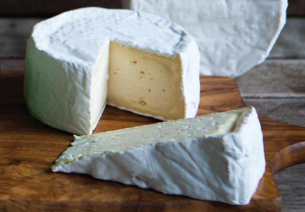 راهنمای انتخاب پنیر الاغ کیلویی درجه یک