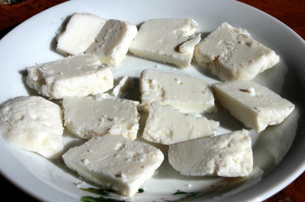 فروش مستقیم پنیر الاغ کیلویی