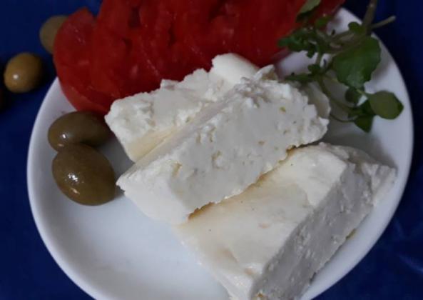 مرکز پخش پنیر الاغ کیلویی