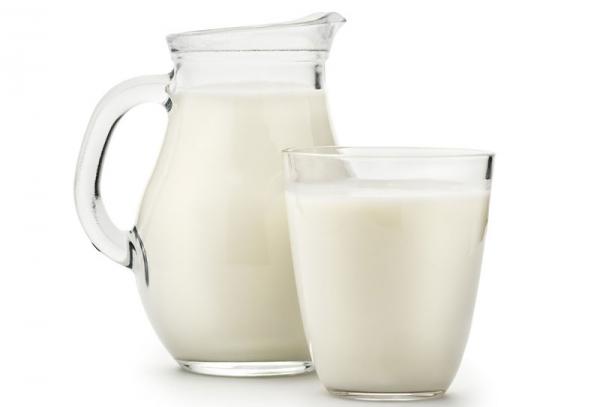 تولید شیر الاغ لیتری