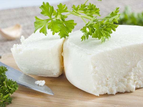 تولید کننده پنیر الاغ فله ای