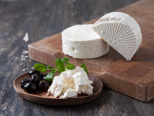 مصرف پنیر الاغ برای التیام نیش مار