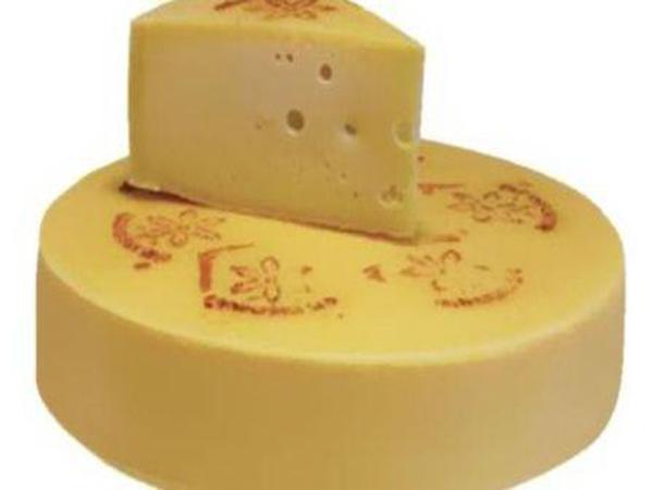 عرضه کننده پنیر شیر الاغ