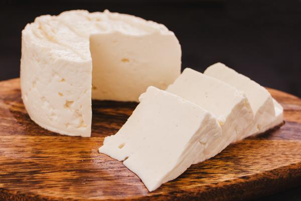 توزیع مستقیم پنیر الاغ صادراتی
